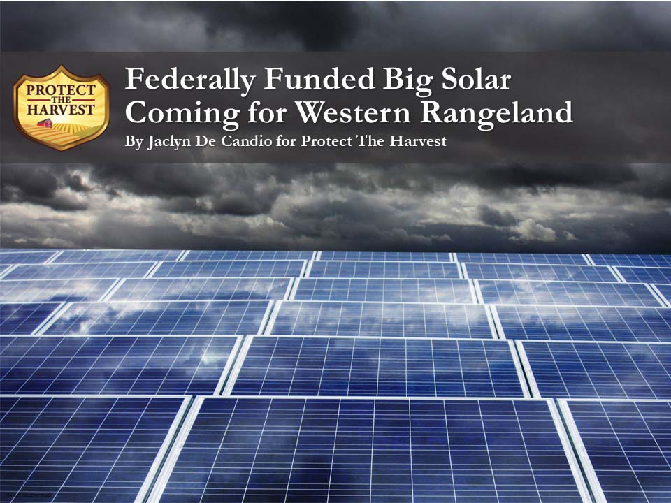 federally funded big solar graphic small