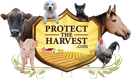Protect The Harvest